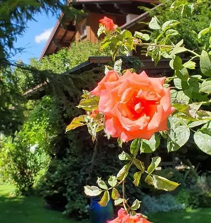 Apartamento Burtscher Klosterle am Arlberg