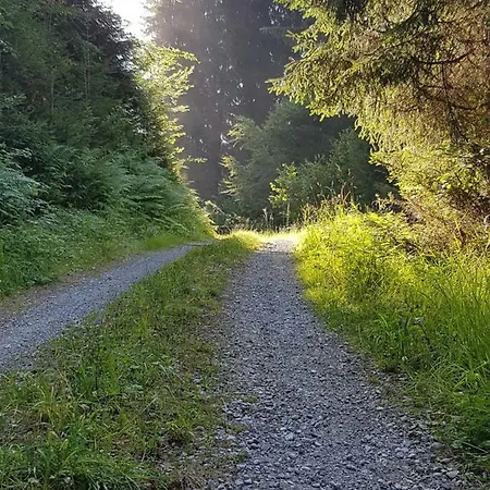 Burtscher Apartamento Klosterle am Arlberg