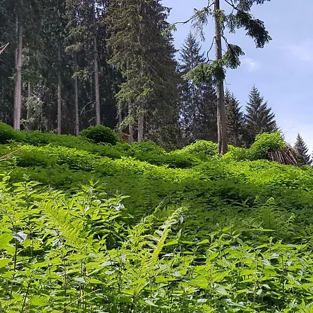 Burtscher Apartment *