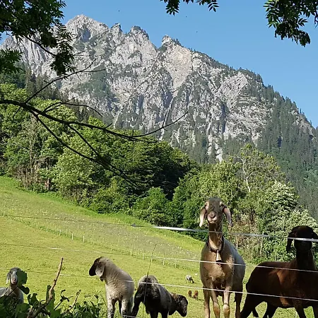Burtscher Klosterle am Arlberg