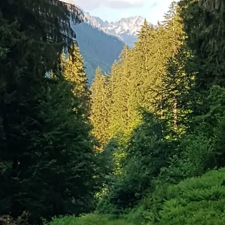 Burtscher Klosterle am Arlberg