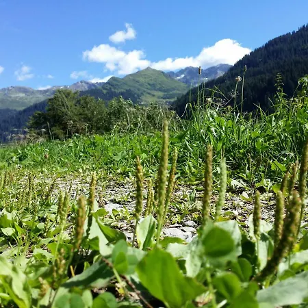 Apartamento Burtscher