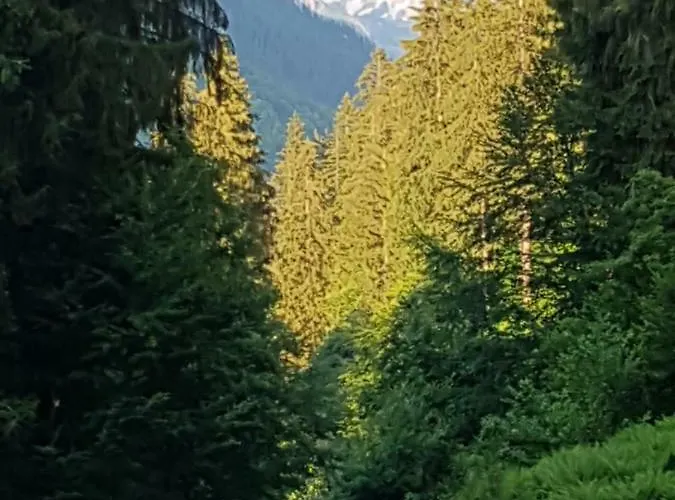 Burtscher Klösterle am Arlberg